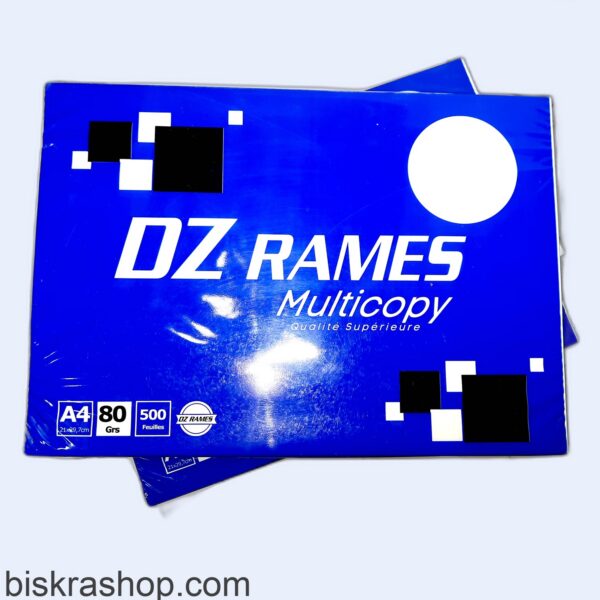 RAM PAPIER DZ RAMES MULTICOPY